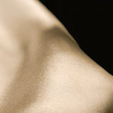 THE RESTORATIVE SILK PILLOWCASE