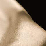 THE RESTORATIVE SILK PILLOWCASE