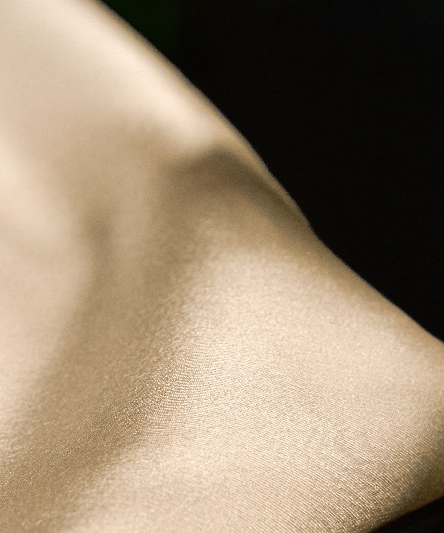 THE RESTORATIVE SILK PILLOWCASE